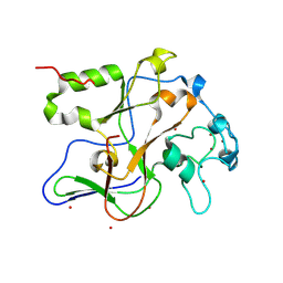 BU of 1ml9 by Molmil