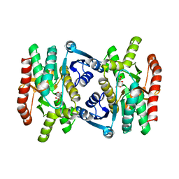 BU of 1mld by Molmil