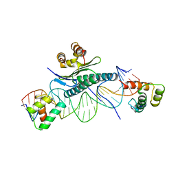 BU of 1mnm by Molmil