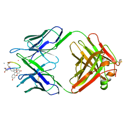 AU of 1mpa by Molmil