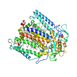 BU of 1mps by Molmil