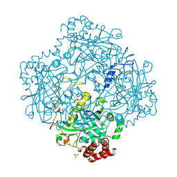 BU of 1mqf by Molmil