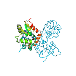 BU of 1mqi by Molmil