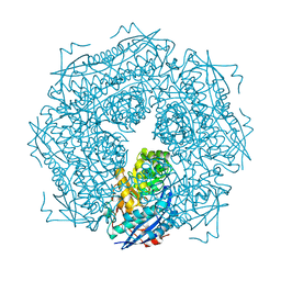 BU of 1mra by Molmil