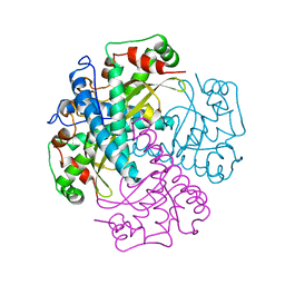 BU of 1msd by Molmil