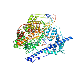 BU of 1msw by Molmil