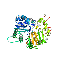 BU of 1mu9 by Molmil