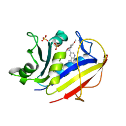 BU of 1mvt by Molmil