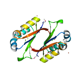 BU of 1mwq by Molmil