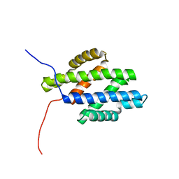 BU of 1n81 by Molmil