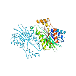 BU of 1nas by Molmil