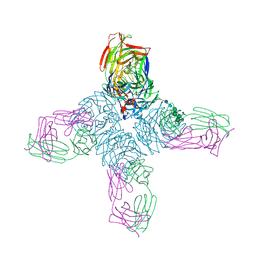 BU of 1ncc by Molmil