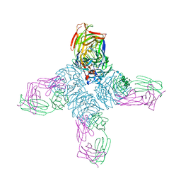 BU of 1ncc by Molmil