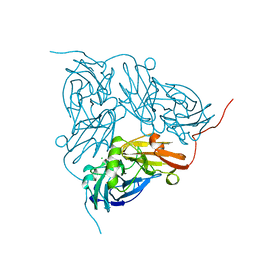 BU of 1ndt by Molmil