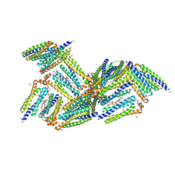 BU of 1nf4 by Molmil