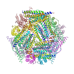 BU of 1nf6 by Molmil