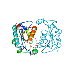 BU of 1nf8 by Molmil