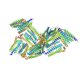 BU of 1nfv by Molmil