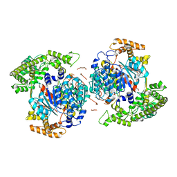 AU of 1ngv by Molmil