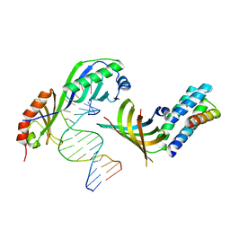 BU of 1nh2 by Molmil