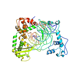 BU of 1nh3 by Molmil