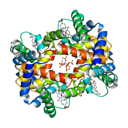 BU of 1nih by Molmil