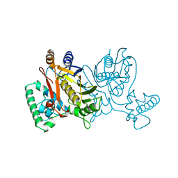 BU of 1njc by Molmil