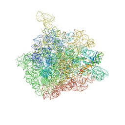 BU of 1njp by Molmil