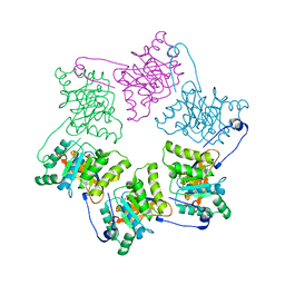 BU of 1nlf by Molmil