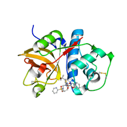 BU of 1nlj by Molmil