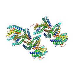 BU of 1nlx by Molmil