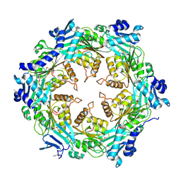 BU of 1nlz by Molmil