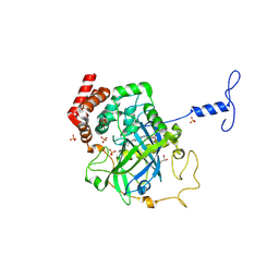 BU of 1nm0 by Molmil