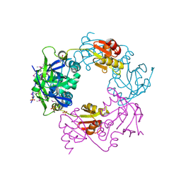 BU of 1nm3 by Molmil