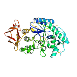 BU of 1nm9 by Molmil