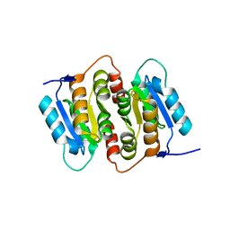 BU of 1nn4 by Molmil