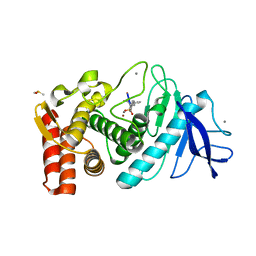 AU of 1no0 by Molmil