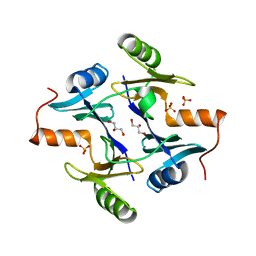 BU of 1npb by Molmil