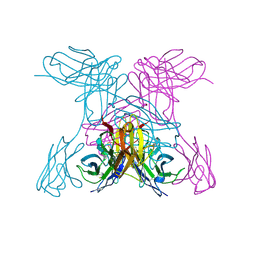 BU of 1nqb by Molmil