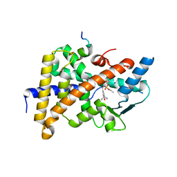 BU of 1nrl by Molmil