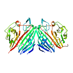 BU of 1nsv by Molmil