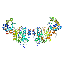 AU of 1nt7 by Molmil