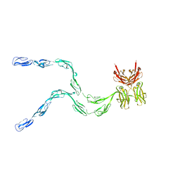 BU of 1ntl by Molmil