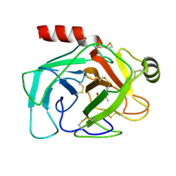 BU of 1ntp by Molmil