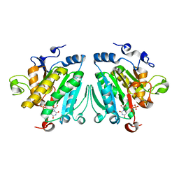 AU of 1o7r by Molmil