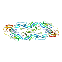 AU of 1oam by Molmil