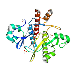 BU of 1obd by Molmil