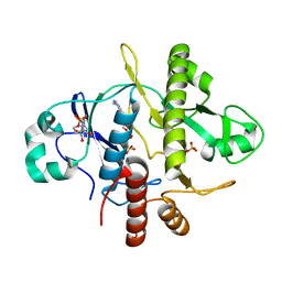 BU of 1obg by Molmil