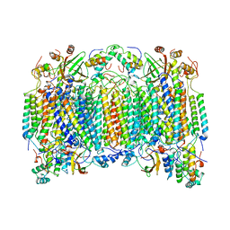 BU of 1ocr by Molmil