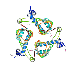 AU of 1ocx by Molmil